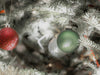 KI-generiertes Bild,18-20 Design Glas Weihnachtskugeln 6cm Grün Rosmarin Christbaum Dekokugel