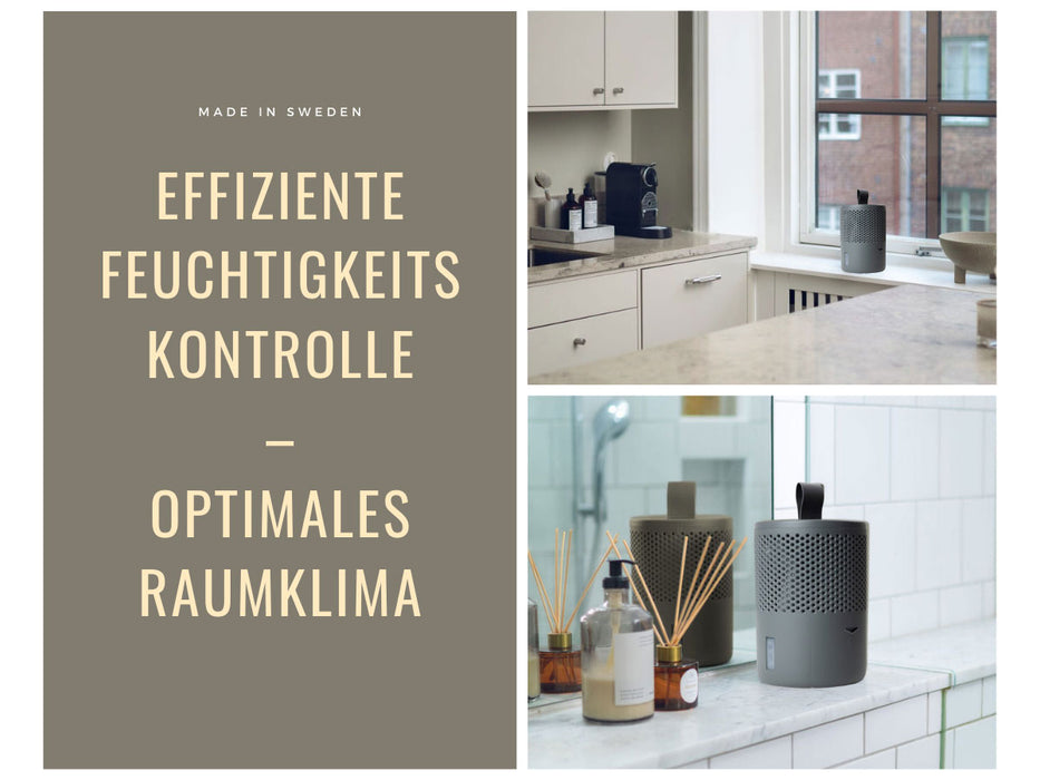 KI-generiertes Bild,Absodry Duo Family Series 6 Grau für Räume bis 50m² Luftentfeuchter ohne Strom