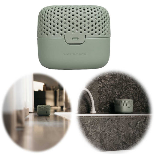 KI-generiertes Bild Absodry Duo Family Series 3 Grün für Räume bis 30m² Luftentfeuchter ohne Strom