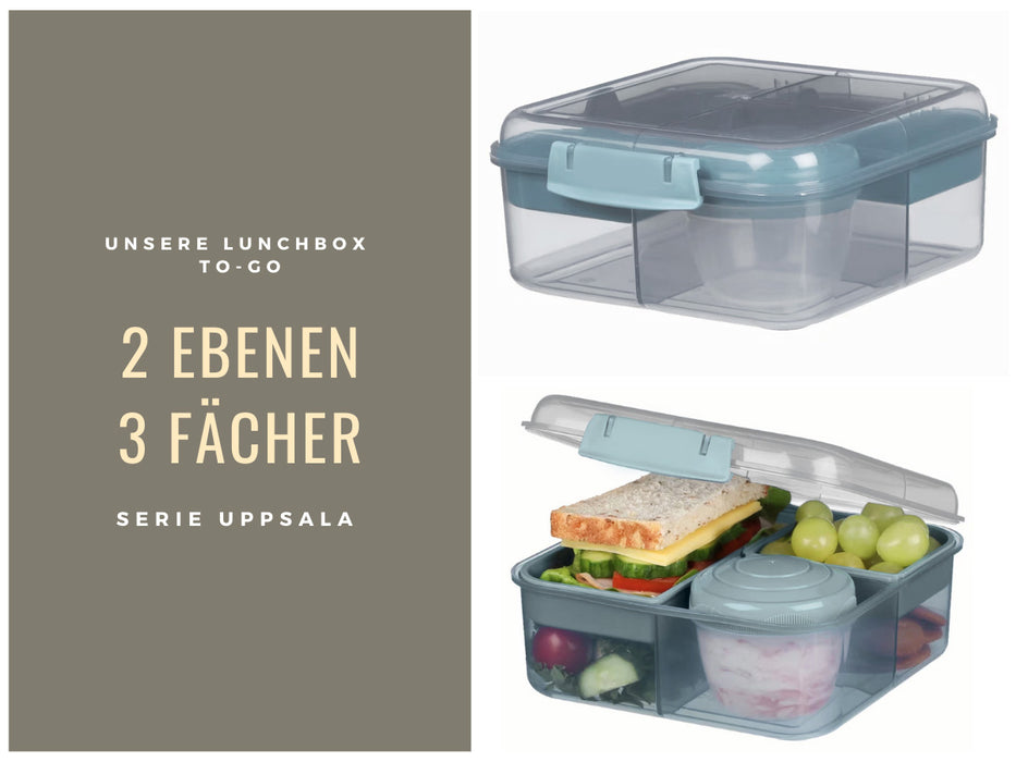 KI-generiertes Bild,Bento Box Lunchbox Kunststoff Blau 3 Fächer 2 Ebenen Frühstücksbox Brotdose