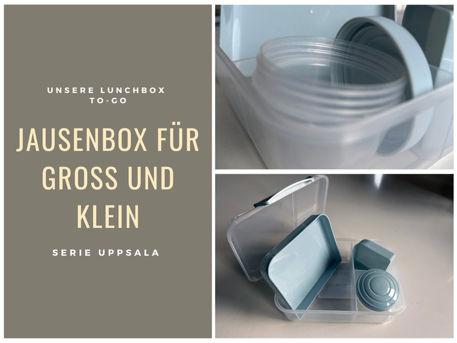 KI-generiertes Bild,Bento Box Lunchbox Kunststoff Blau 3 Fächer 2 Ebenen Frühstücksbox Brotdose