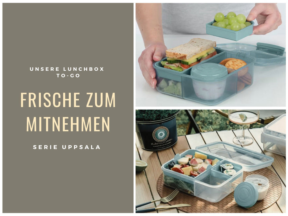 KI-generiertes Bild,Bento Box Lunchbox Kunststoff Blau 3 Fächer 2 Ebenen Frühstücksbox Brotdose