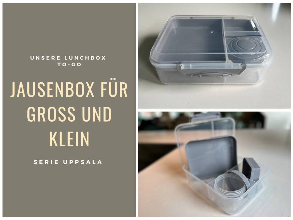 KI-generiertes Bild,Bento Box Lunchbox Kunststoff Grau 3 Fächer 2 Ebenen Frühstücksbox Brotdose