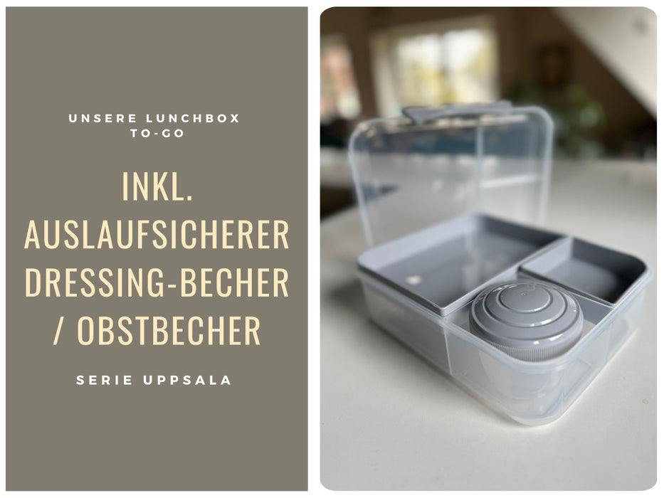 KI-generiertes Bild,Bento Box Lunchbox Kunststoff Grau 3 Fächer 2 Ebenen Frühstücksbox Brotdose