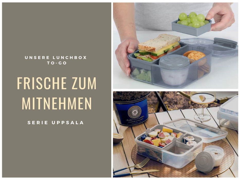 KI-generiertes Bild,Bento Box Lunchbox Kunststoff Grau 3 Fächer 2 Ebenen Frühstücksbox Brotdose