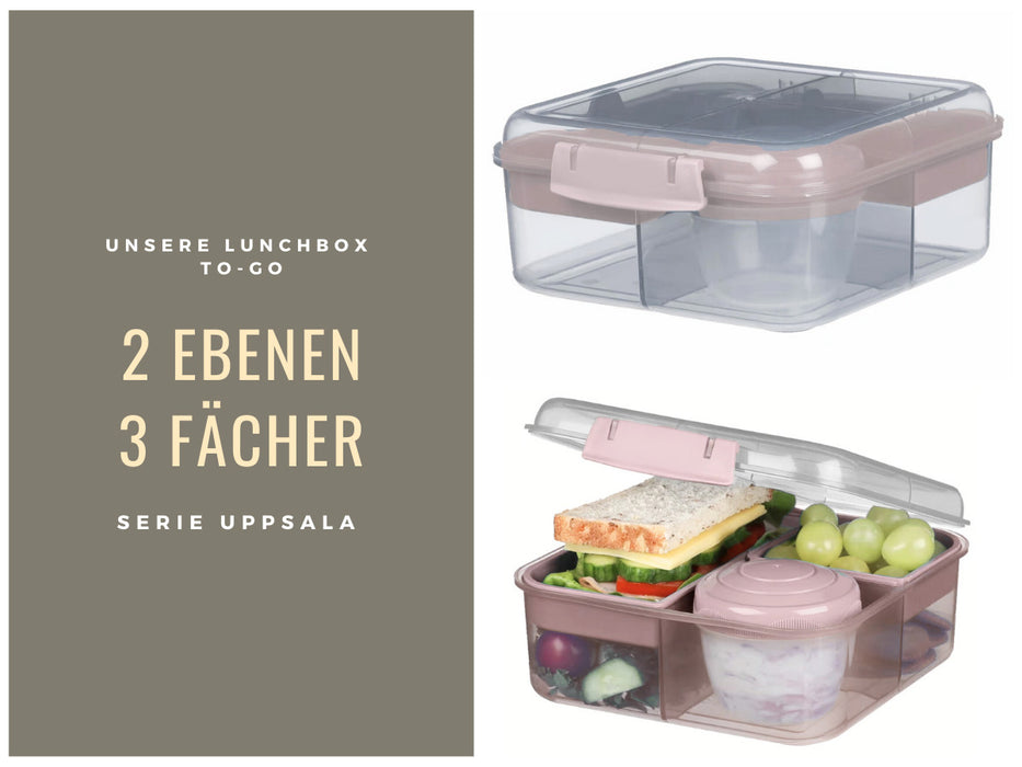 KI-generiertes Bild,Bento Box Lunchbox Kunststoff Rosa 3 Fächer 2 Ebenen Frühstücksbox Brotdose