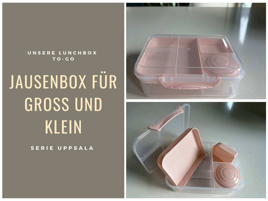 KI-generiertes Bild,Bento Box Lunchbox Kunststoff Rosa 3 Fächer 2 Ebenen Frühstücksbox Brotdose