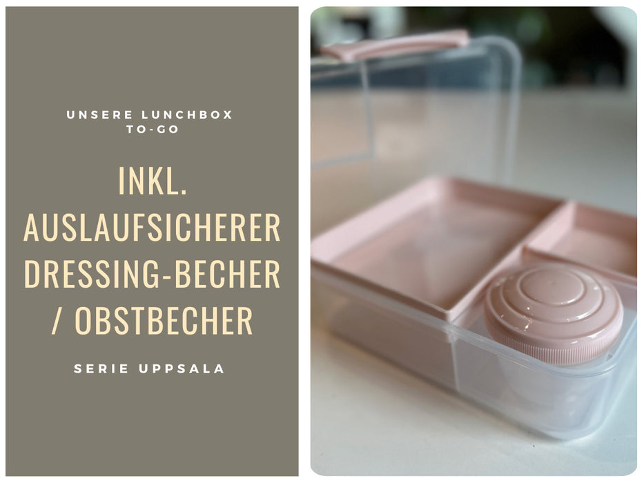 KI-generiertes Bild,Bento Box Lunchbox Kunststoff Rosa 3 Fächer 2 Ebenen Frühstücksbox Brotdose