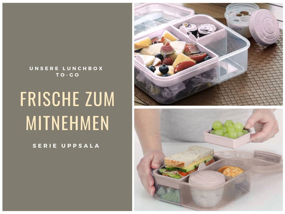 KI-generiertes Bild,Bento Box Lunchbox Kunststoff Rosa 3 Fächer 2 Ebenen Frühstücksbox Brotdose