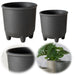 KI-generiertes Bild Pflanztopf Blumenkübel List 13-16cm 2´er Set Grau Rund Übertopf Blumentopf