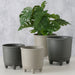 KI-generiertes Bild,Pflanztopf Blumenkübel List 13-16cm 2´er Set Grau Rund Übertopf Blumentopf