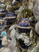 KI-generiertes Bild,2 Design XL Weihnachtskugeln 8cm Blau Weiß Stoff Kunststoff Baumkugel Deko