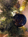 KI-generiertes Bild,4 Glas Weihnachtskugeln 8cm Gold Edition Schwarz Weiß Christbaum Dekokugel