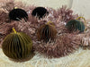 KI-generiertes Bild,3x Wabenball Petrol Grün Braun 8cm Papierkugel Honeycomb Deko Party Weihnachten