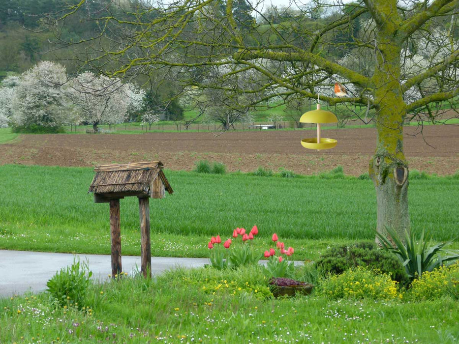 KI-generiertes Bild,Vogel Futterstation Fressbar Grün Kunstharz Vogel-Futterhaus zum Aufhängen