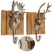 KI-generiertes Bild 2 Garderobenhaken Holz Alu Hirsch-Kopf Braun Set Wandhaken Wand-Garderobe