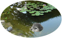 KI-generiertes Bild,Gartenteich Schwimmtier Robbe 17cm Seehund Kopf Garten-Figur Teich-Deko