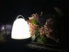 KI-generiertes Bild,LED Camping-Leuchte 18x13cm Schwarz Weiß tragbar Gartenlaterne Windlicht