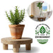 KI-generiertes Bild Pflanzenhocker Teak Holz 20x7cm Rund Mini Tisch Deko Tablett Blumenständer