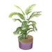 KI-generiertes Bild,Seegras Blumentopf Übertopf Palma 28cm Flieder Pflanztopf Aufbewahrungskorb