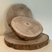 KI-generiertes Bild,Rindenbrett Baumscheibe Rund Holz Ø 18-25cm Astscheibe Rindenscheibe