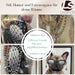 KI-generiertes Bild,Wandbild französische Bulldogge 40x60cm Vogue Diamant Natur Kunstdruck Leinwand