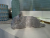 KI-generiertes Bild,Beton Deko Französische Bulldogge Frenchie 25x10cm Grau Weiß Figur Statue Objekt