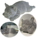KI-generiertes Bild Beton Deko Französische Bulldogge Frenchie 25x10cm Grau Weiß Figur Statue Objekt