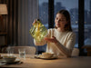 KI-generiertes Bild,XL Deko Glas Lichtkugel 15LED 16cm Diamant Grün Glaskugel Timer Batterie Anhängen