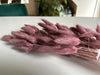 KI-generiertes Bild,Lagurus Trockenstrauß 65cm Alt-Rose 40 Wedel flauschige Trockenblumen Hochzeit