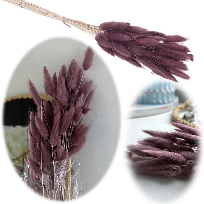 KI-generiertes Bild Lagurus Trockenstrauß 65cm Alt-Rose 40 Wedel flauschige Trockenblumen Hochzeit